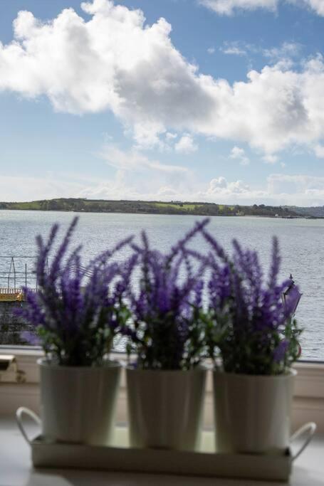 Apartment Unit 2 Island View With Stunning Harbour View *